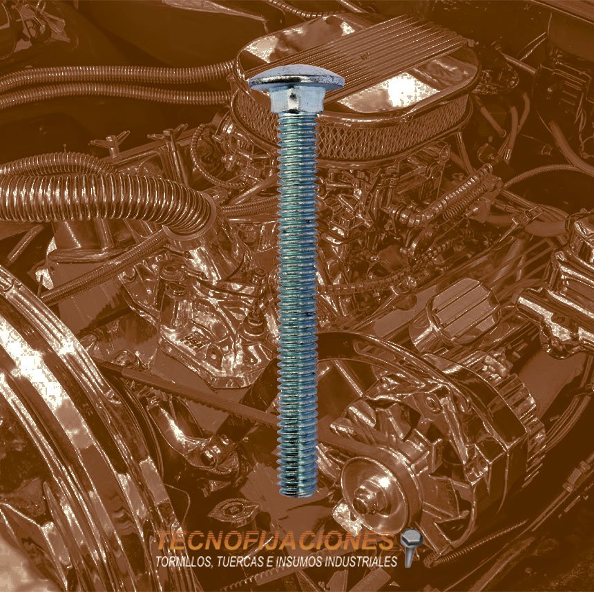 Tornillo coche en acero galvanizado