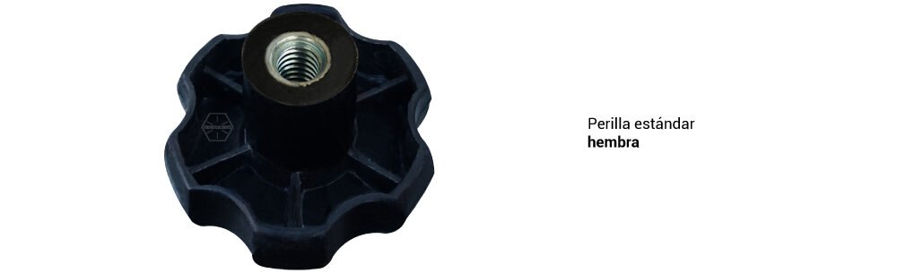 Perilla estándar hembra