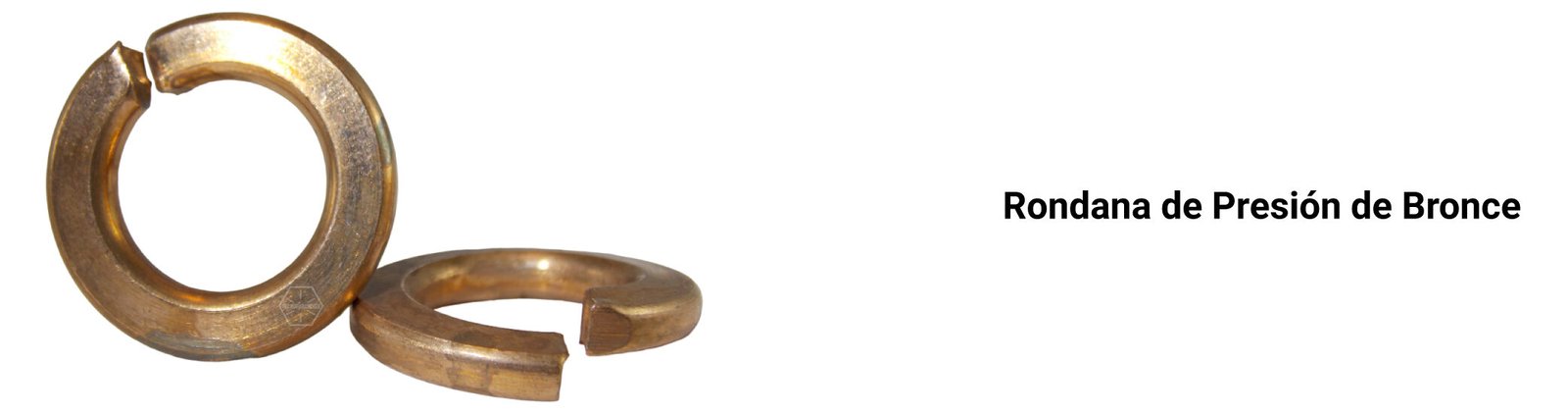 Rondana de Presión