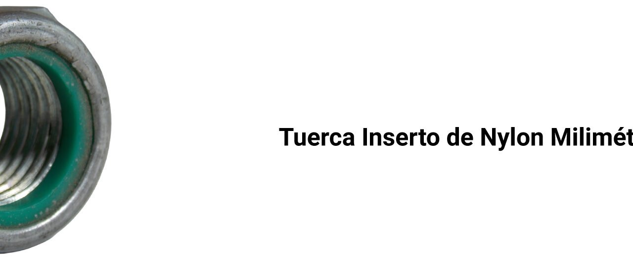 5/16"-18 Nylon Inserto (Elástico) Tuercas De Parada - Tuercas De Contratuerca, Serie NE - Hexagonal Ligero, Altura Completa, Acero Inoxidable 316 (Cantidad: 5000
