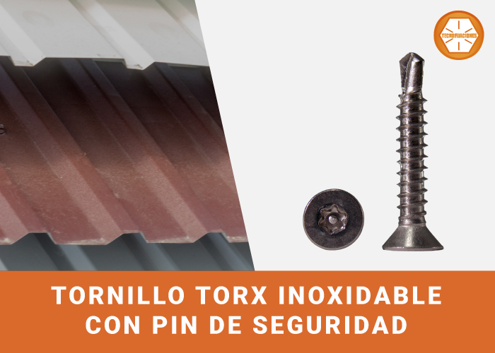 Tornillo Torx Inoxidable con Pin de Seguridad