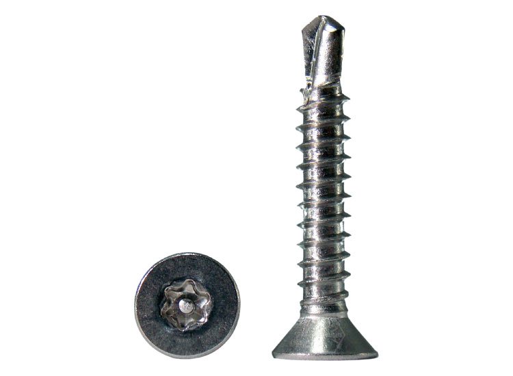 Tornillo-Torx-Inoxidable-con-Pin-de-seguridad-Producto